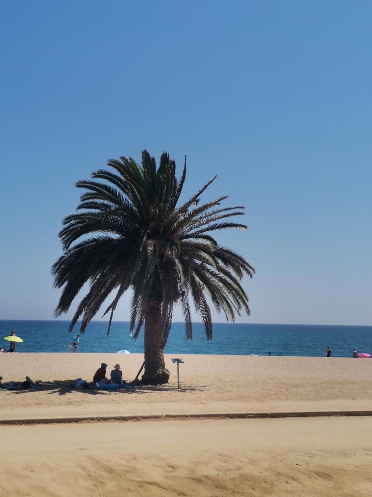 Apartamento Centrico En Calella Buitenkant foto