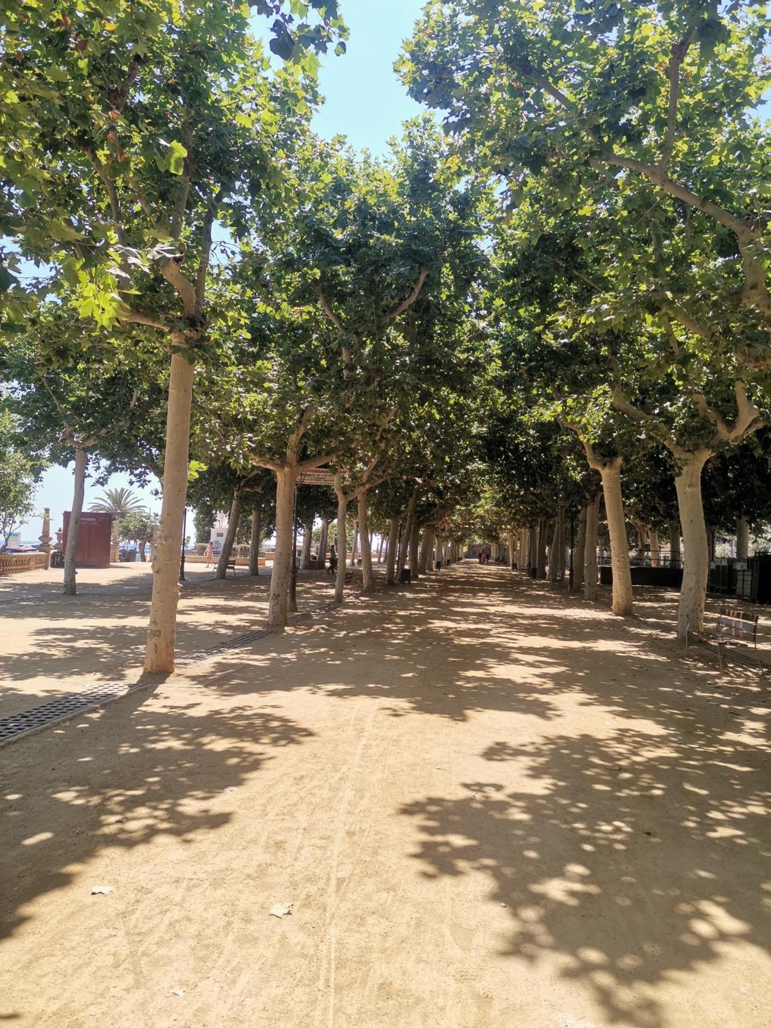 Apartamento Centrico En Calella Buitenkant foto